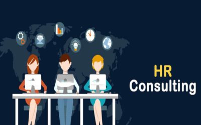 Reasons to Hire an HR Consultant