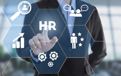 How Important are HR Consultants for Modern Businesses?