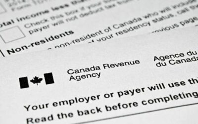 Canadian Employment Laws: A Guide for Employers and Employees