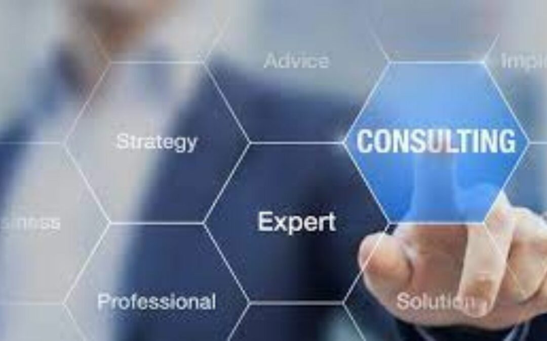 How Hiring a Consultant Can Help Your Business Grow