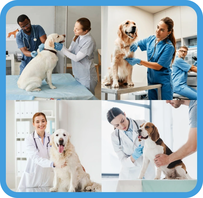 HR Options Pet Care EOR Services