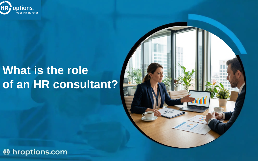 What is the role of an HR consultant?