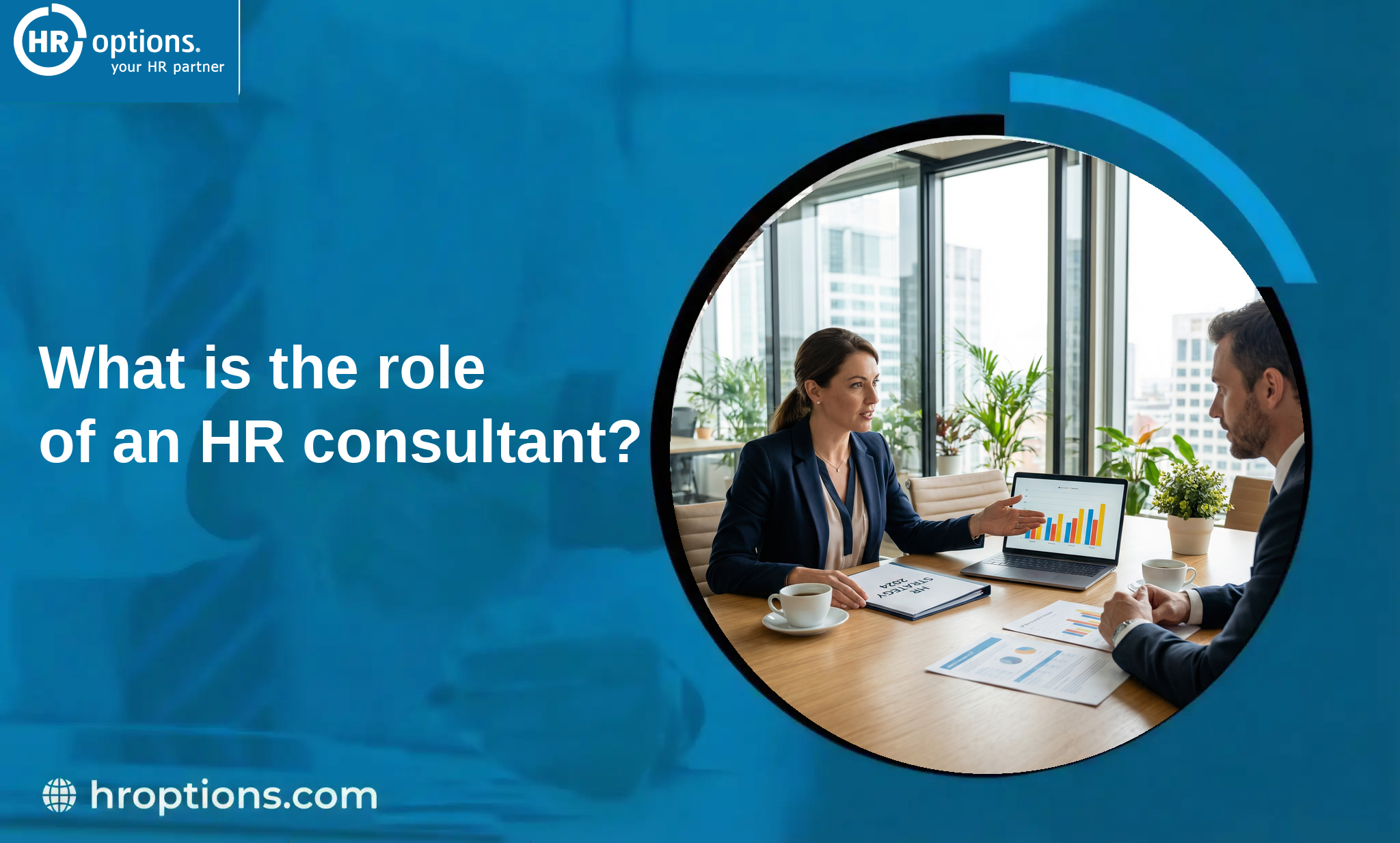 role of an HR consultant